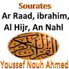 Youssef Nouh Ahmed - Sourates Ar Raad, Ibrahim, Al Hijr, An Nahl (Quran - Coran - Islam)